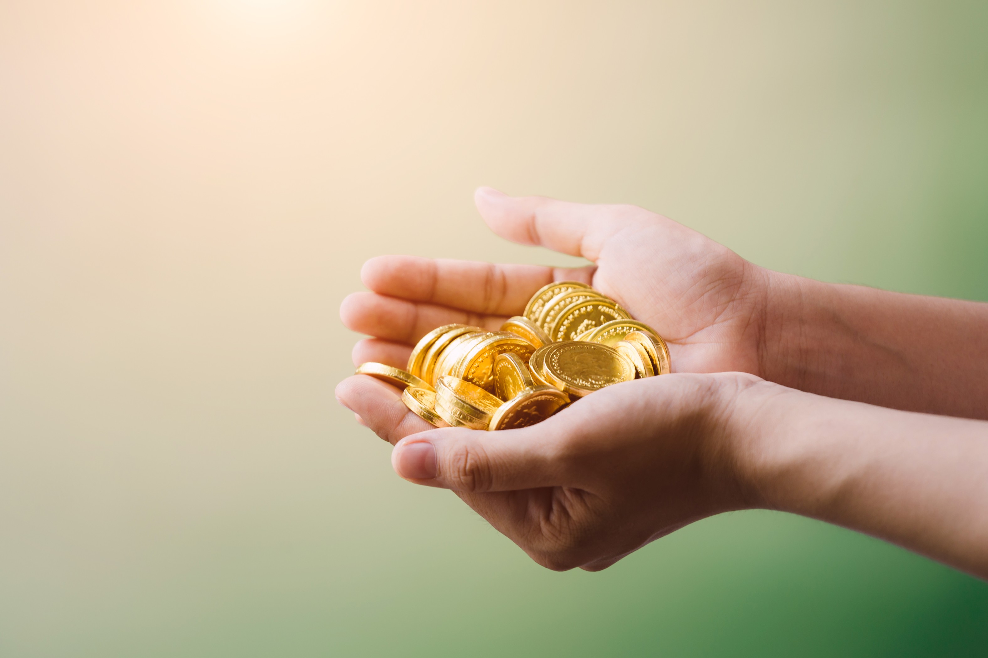 Gold & Coin Saving Schemes (Fixed)