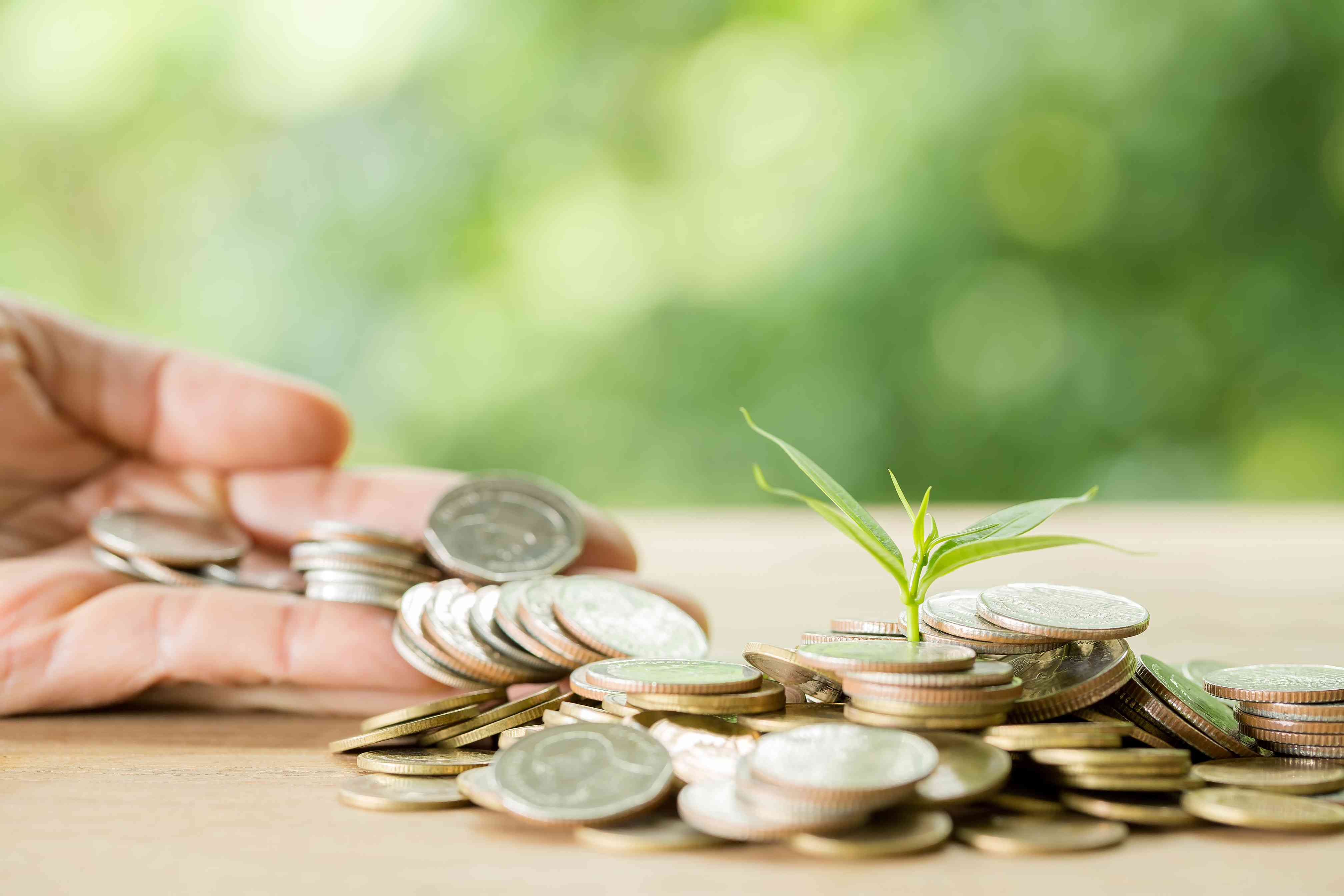 Default Scheme Image